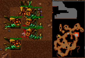 Map serpent spawn venore 4.png