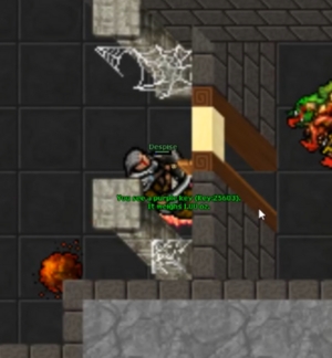 Rorina5 open main doors.PNG